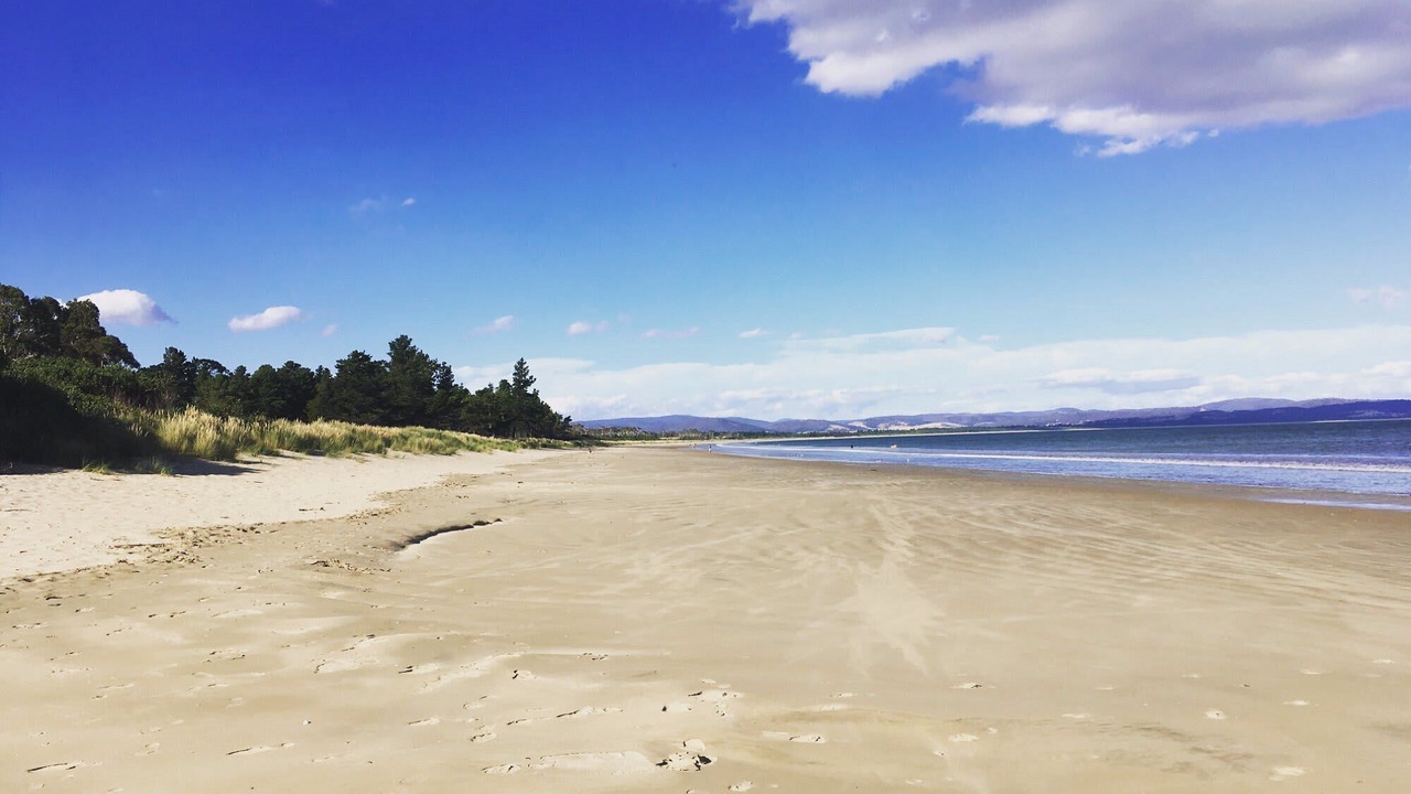 Photo of Others in Seven Mile Beach