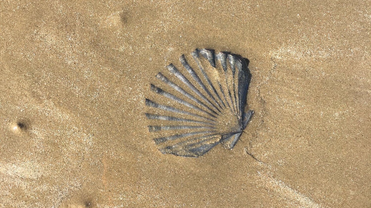 Photo of Others in Seven Mile Beach