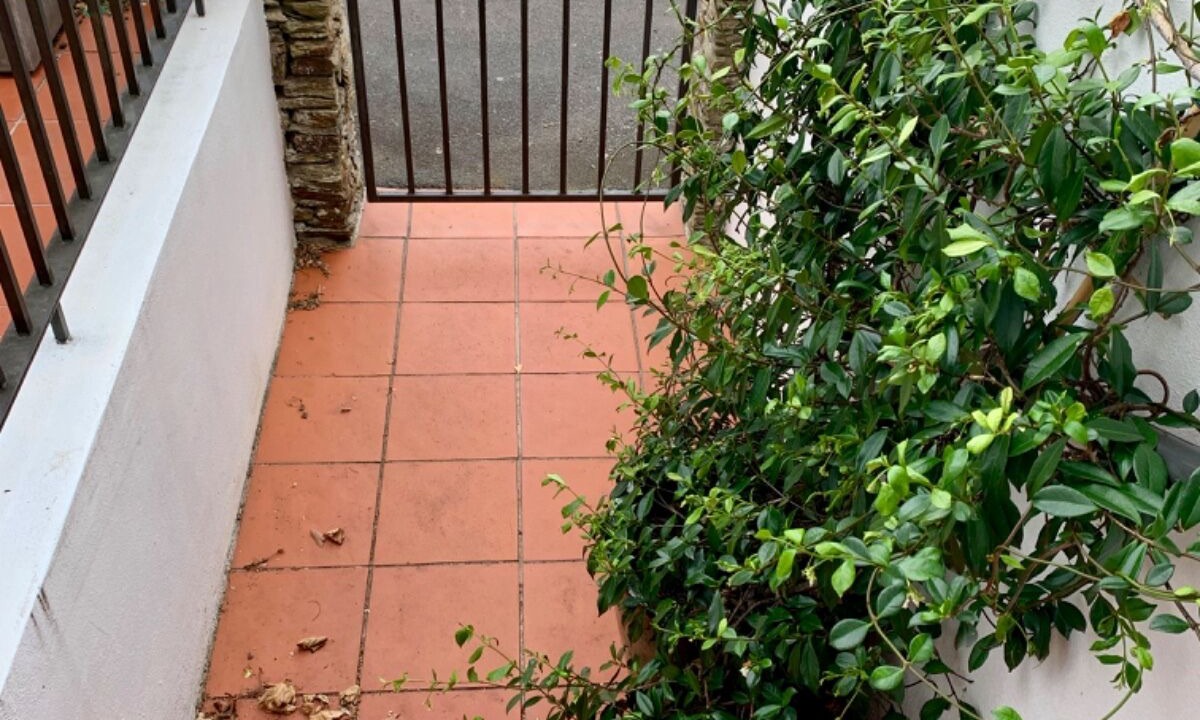 Photo of Outdoor in Ponsonby