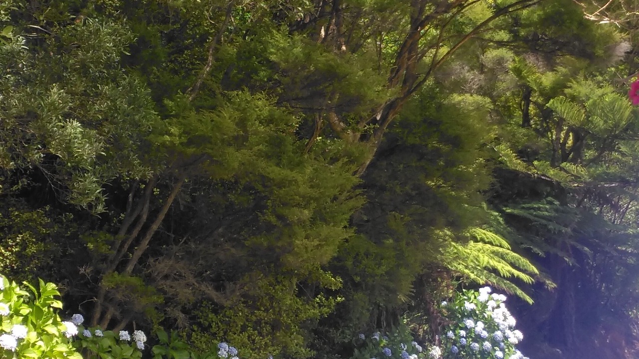 Photo of Outdoor in Russell