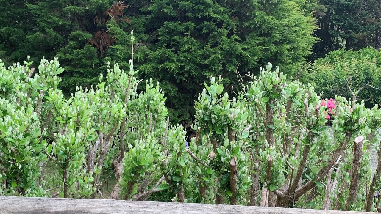 Photo of Outdoor in Russell