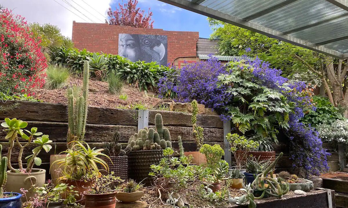 Photo of Outdoor in West Hobart