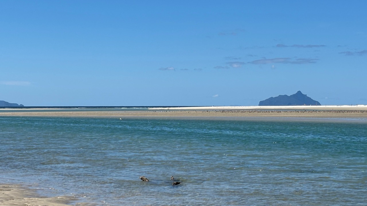 Photo of Others in Ruakaka