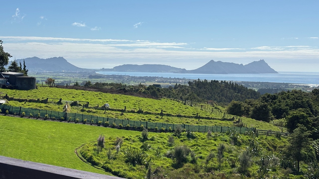 Photo of Others in Ruakaka