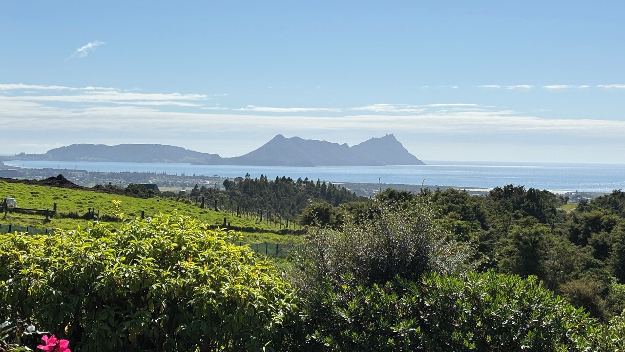 Photo of Others in Ruakaka