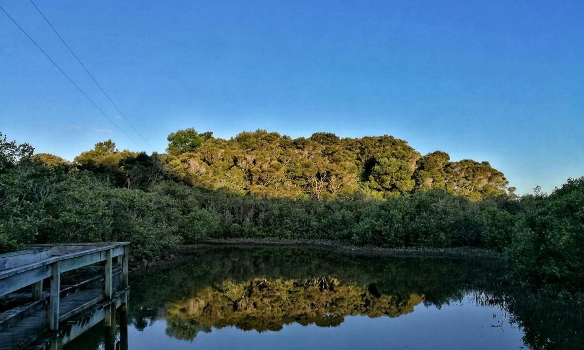 Photo of Others in Kerikeri