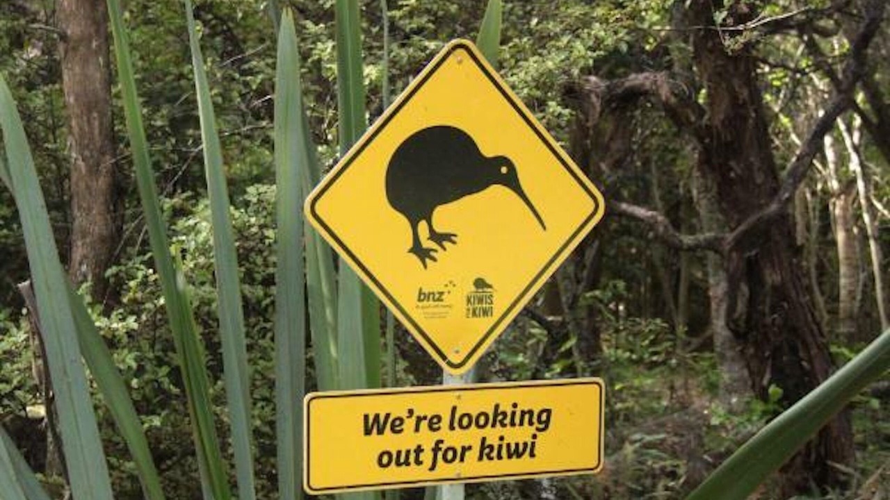 Photo of Outdoor in Kerikeri