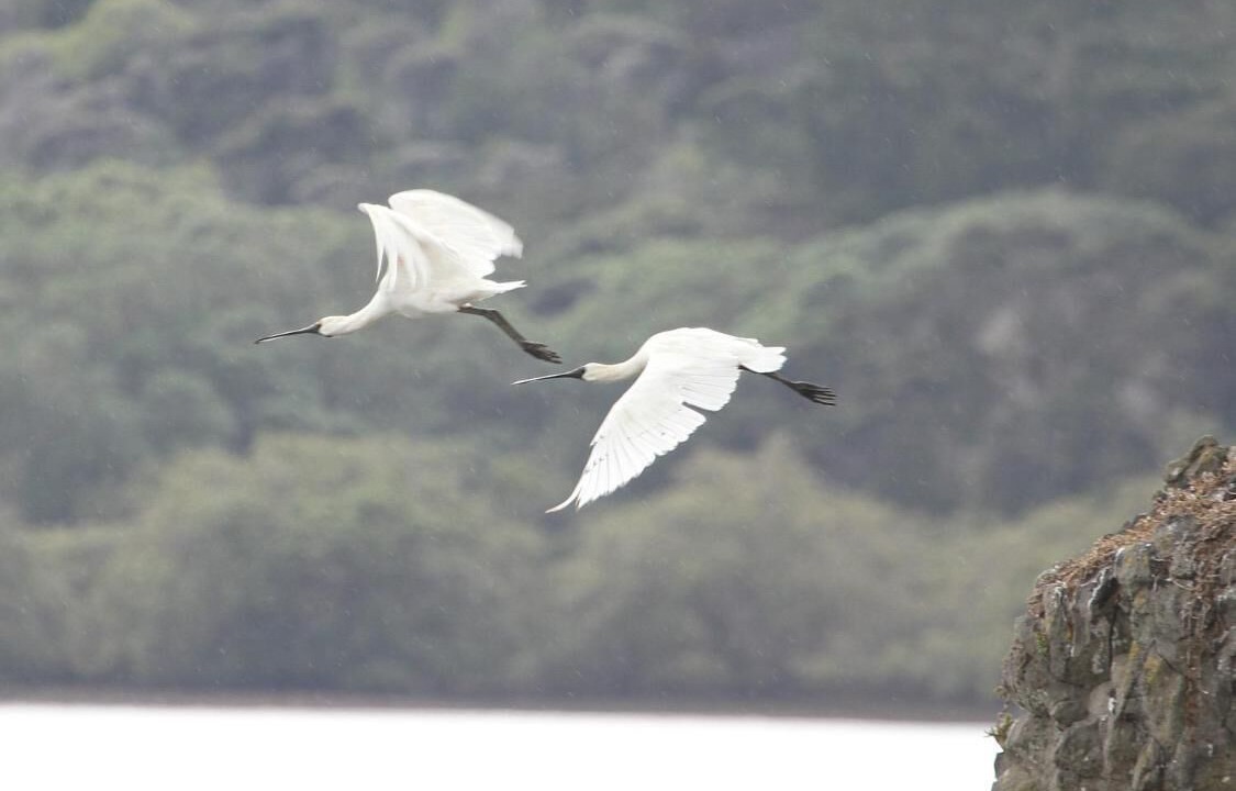 Photo of Others in Kerikeri
