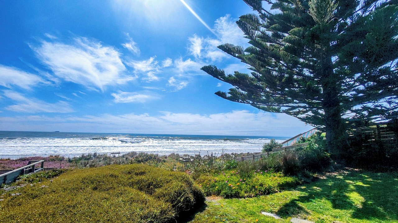 Photo of Others in Pukehina