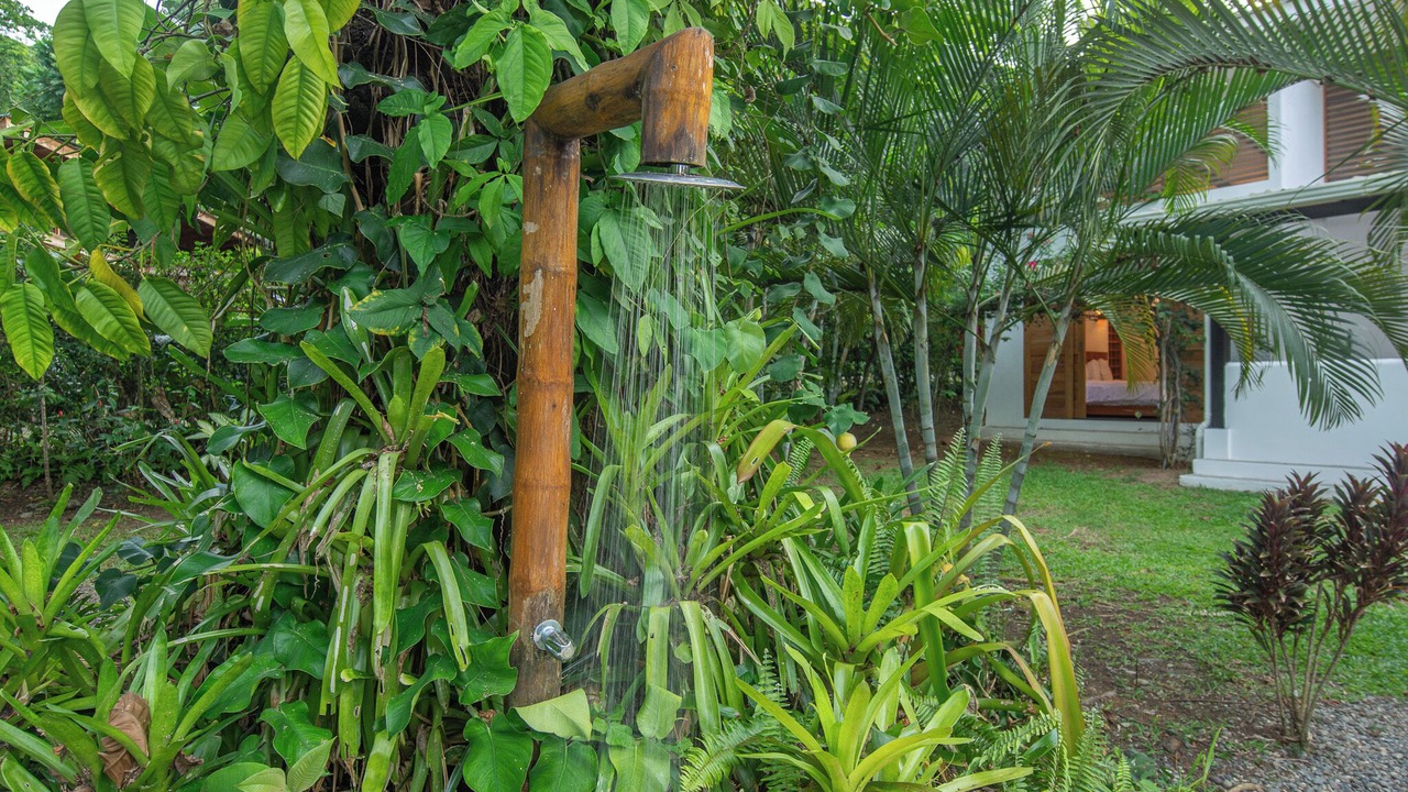 Photo of Outdoor in Puerto Viejo de Talamanca