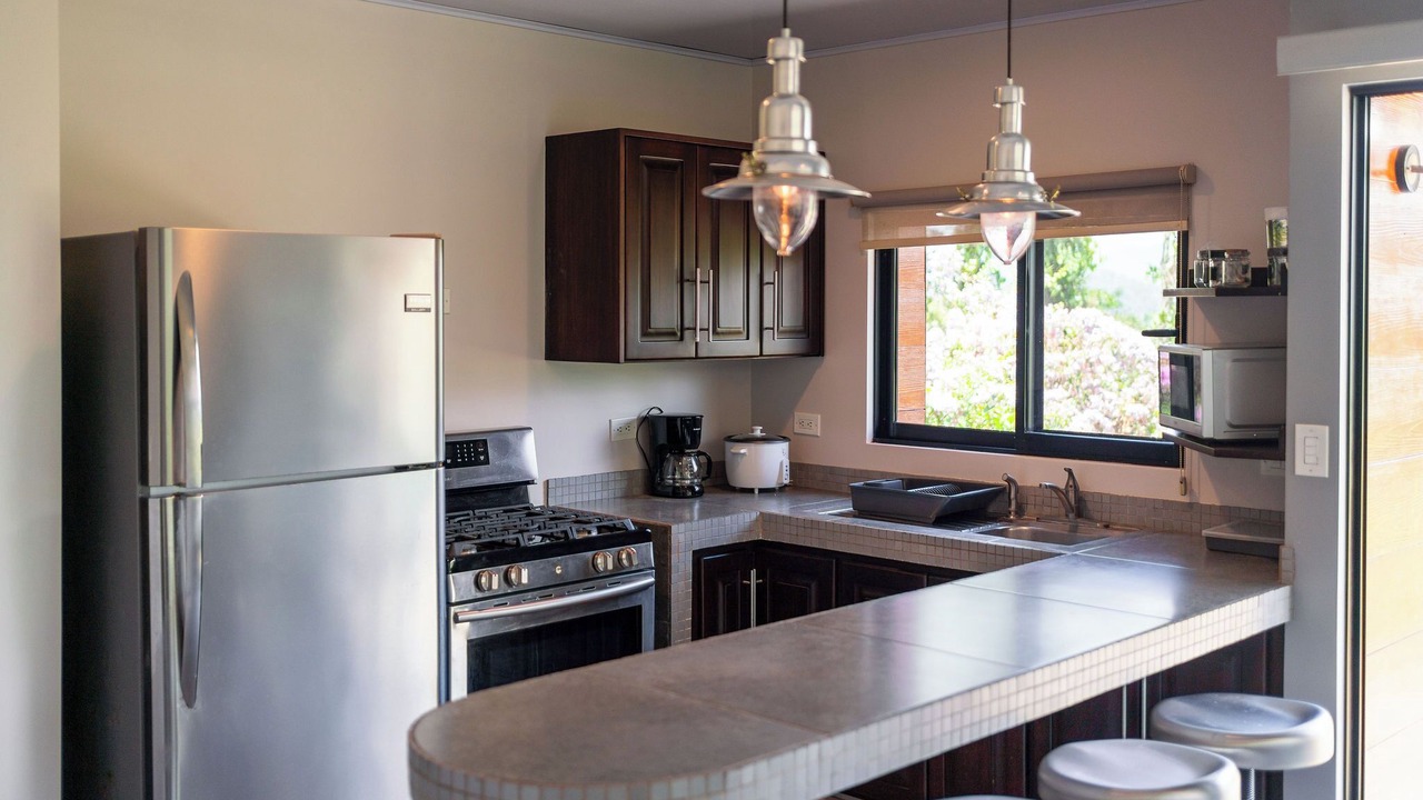 Photo of Kitchen in Turrialba