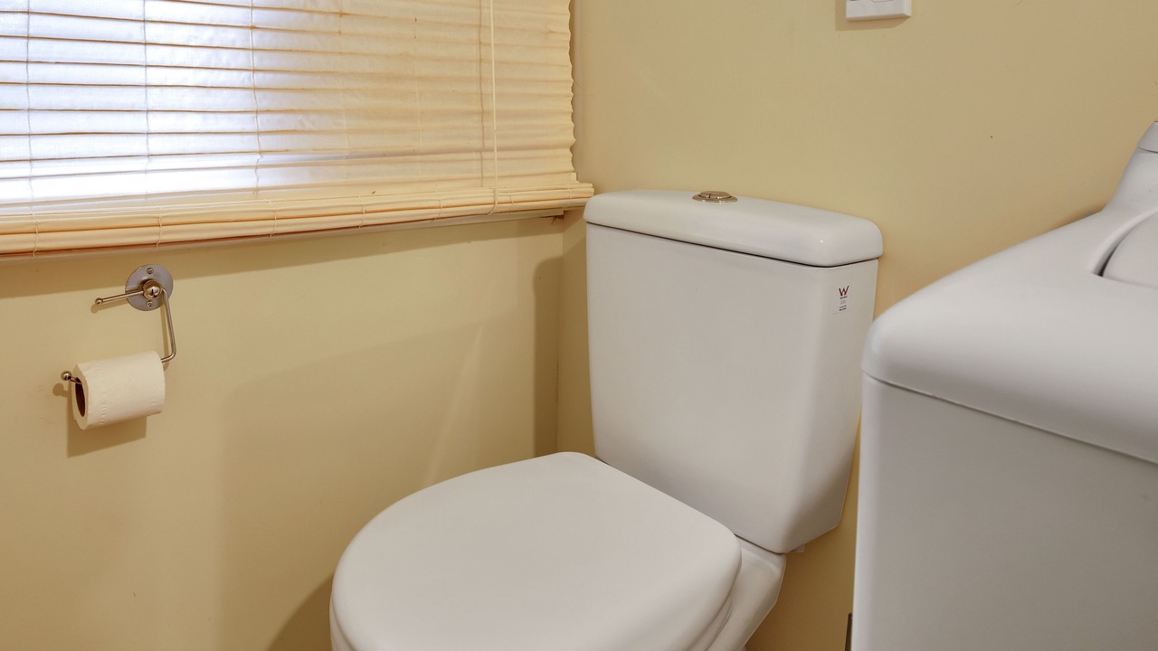 Photo of Bathroom in Diamond Harbour