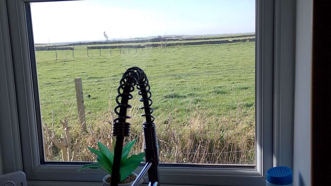 Photo of Others in Sanday