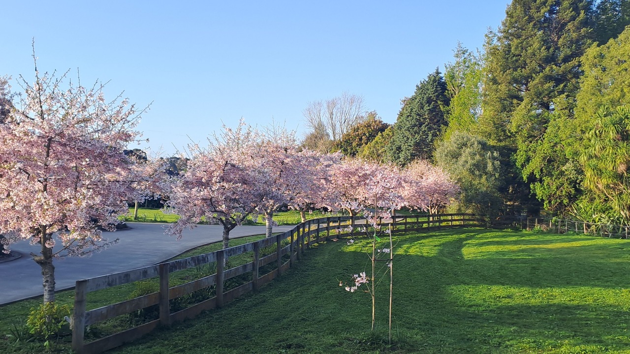 Photo of Outdoor in Tamahere