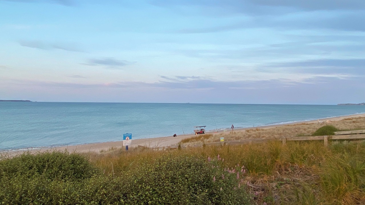 Photo of Others in Papamoa Beach