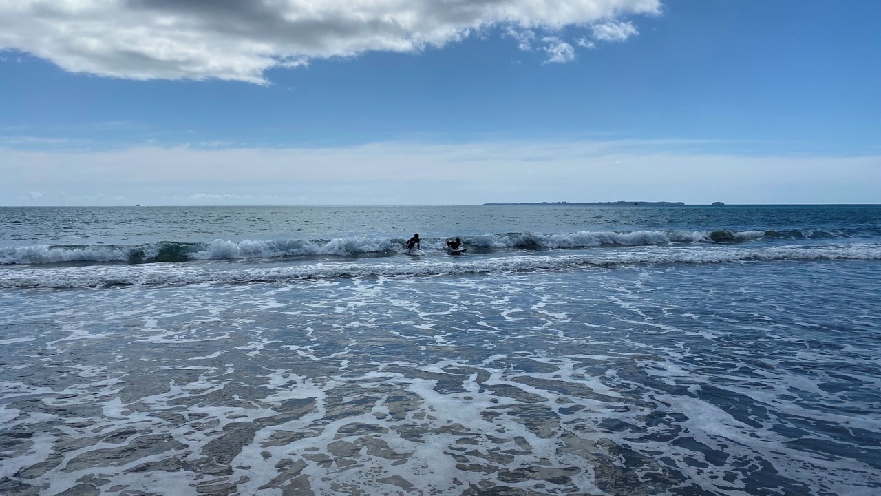 Photo of Others in Papamoa Beach