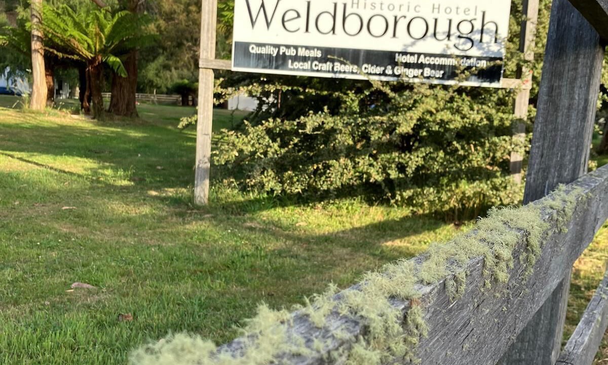 Photo of Others in Weldborough