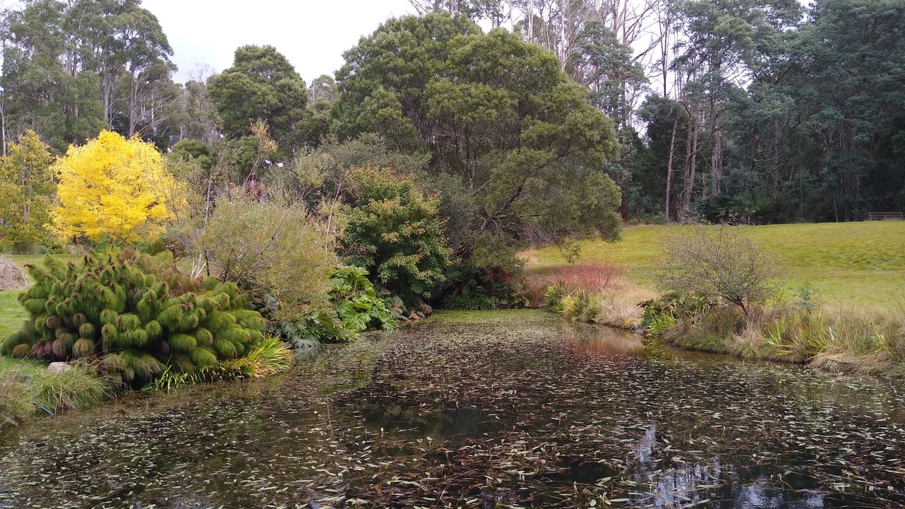 Photo of Outdoor in Branxholm
