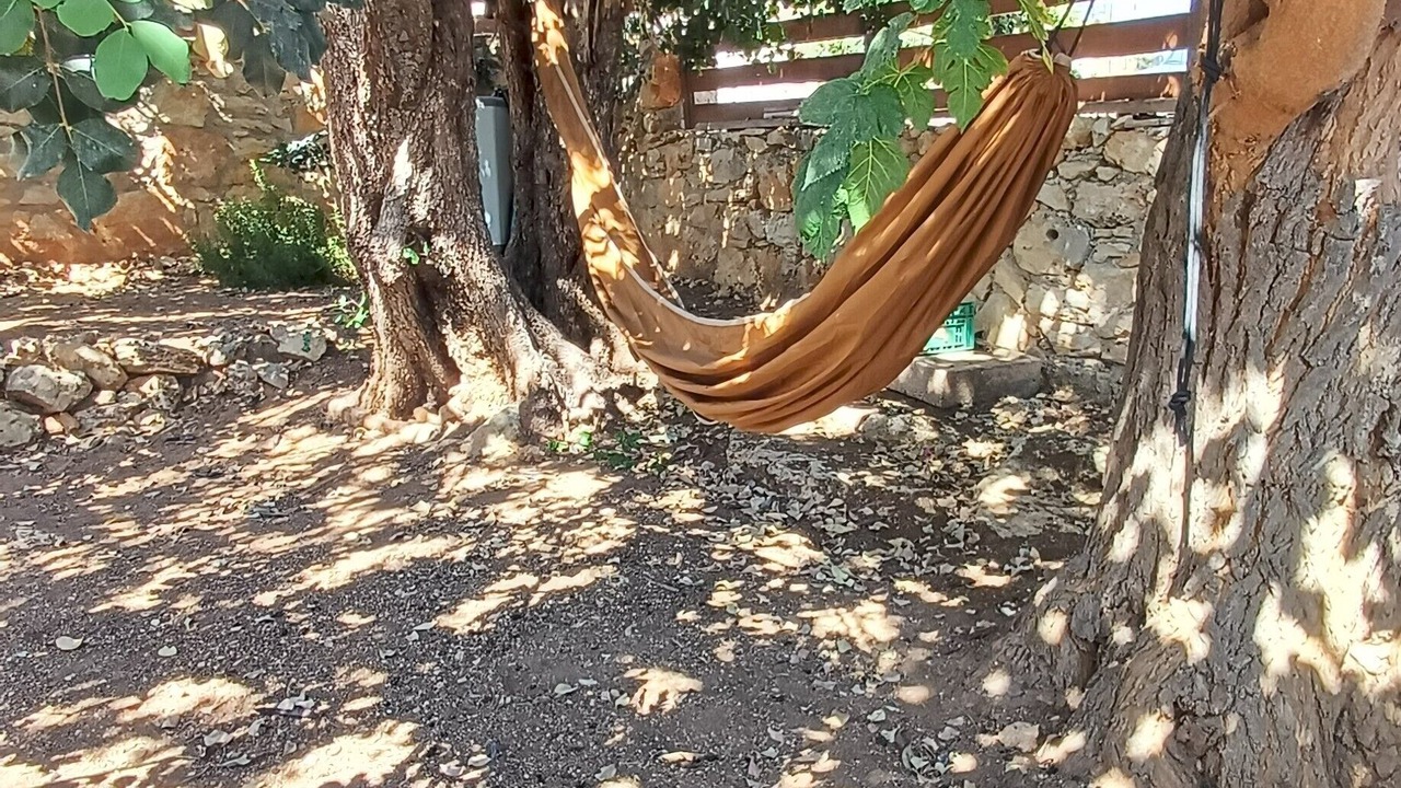 Photo of Outdoor in Katochori