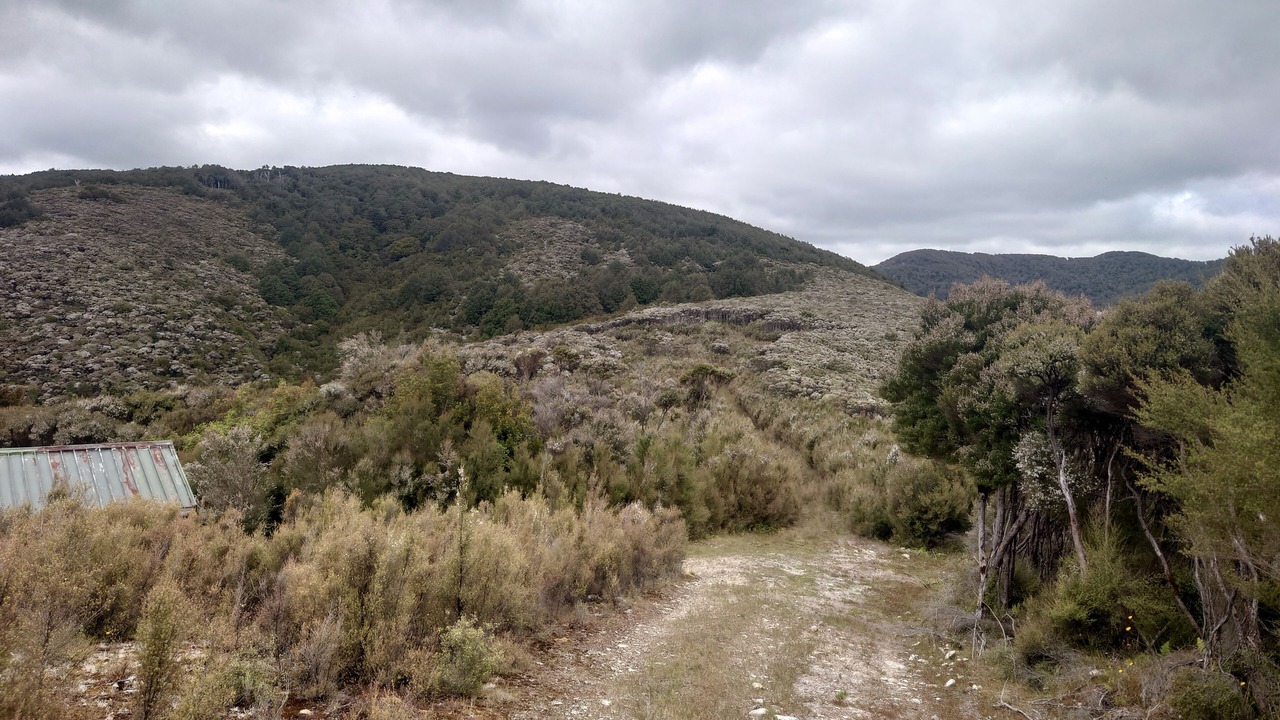 Photo of Others in Eketahuna