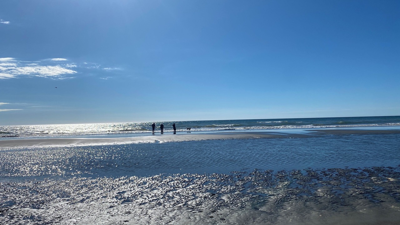 Photo of Others in Hokio Beach