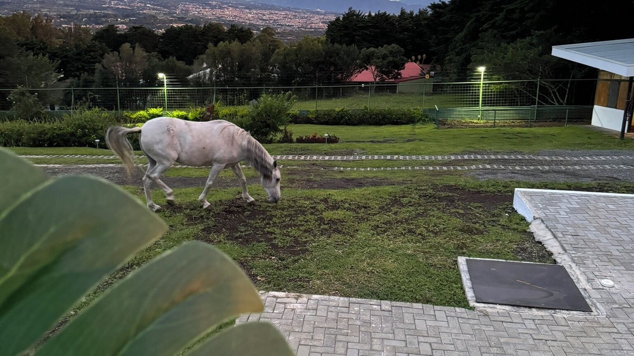 Photo of Outdoor in Sector Central
