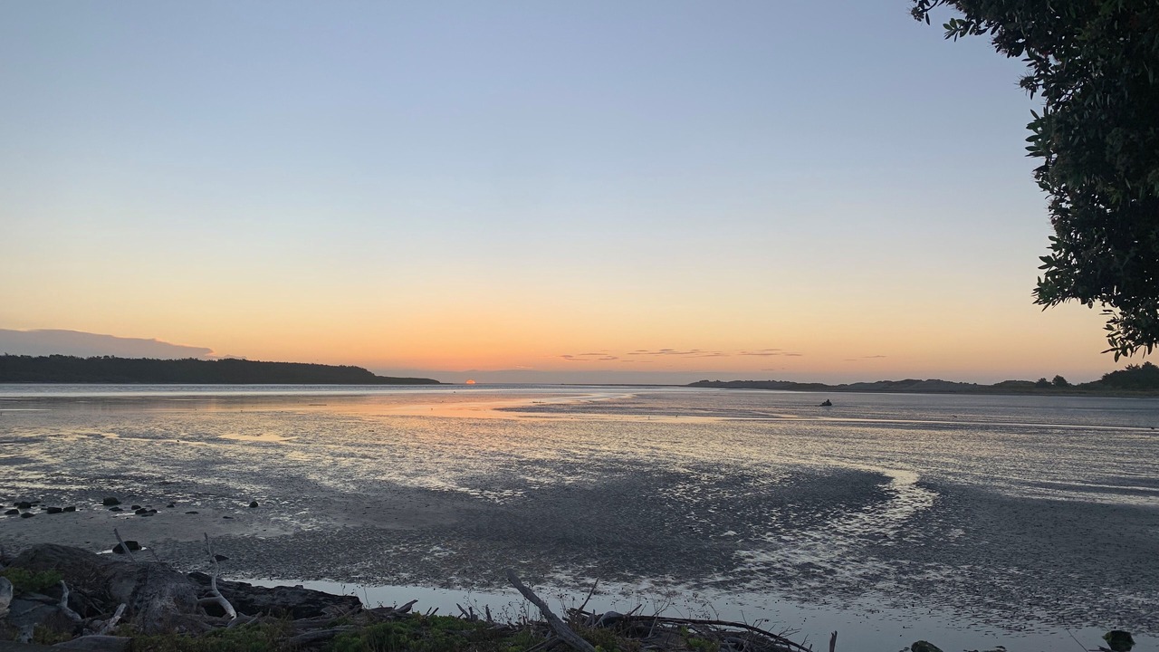 Photo of Others in Foxton Beach