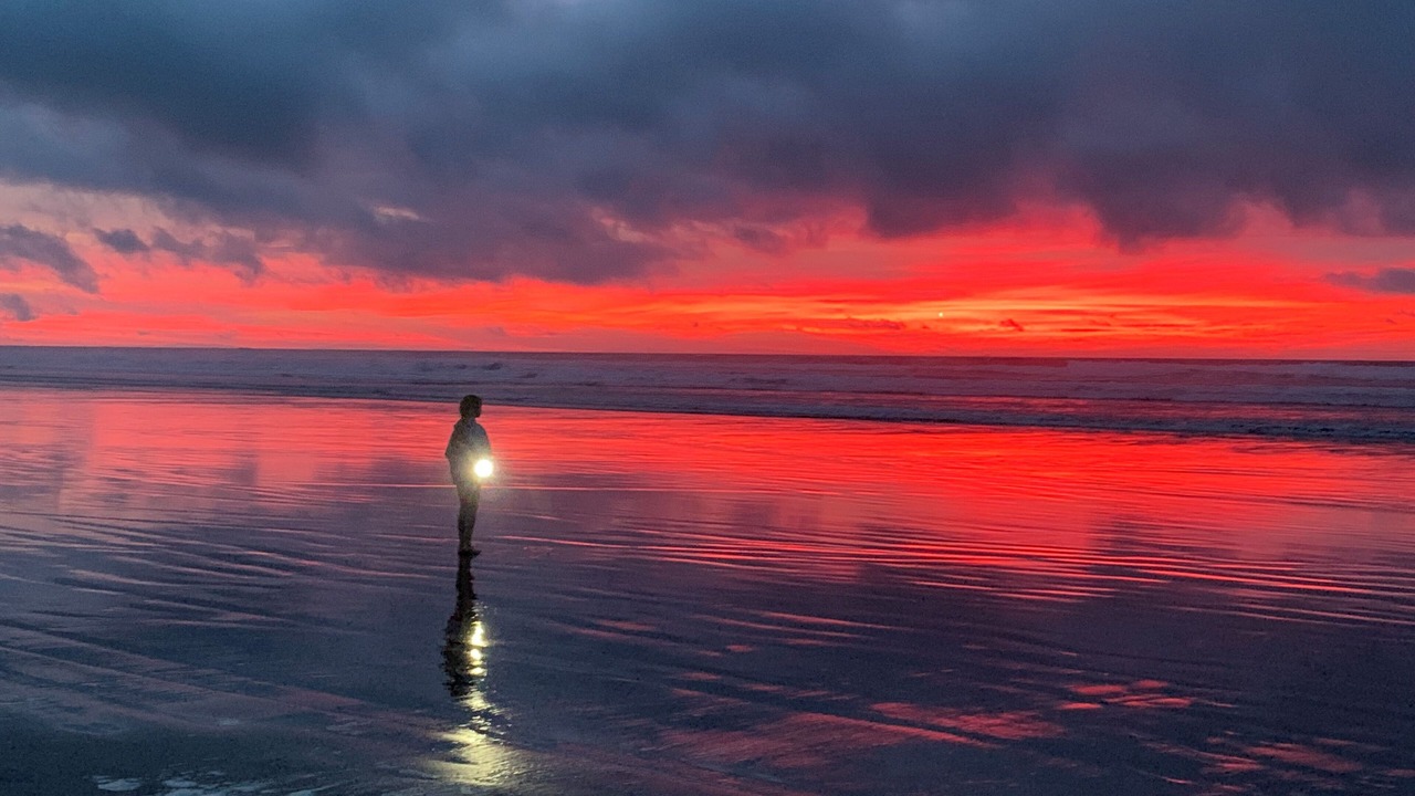Photo of Others in Foxton Beach