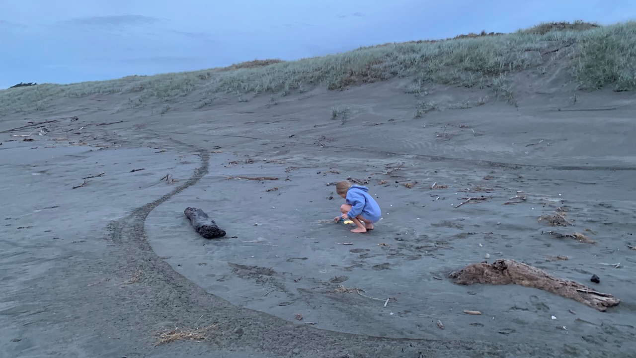 Photo of Others in Foxton Beach