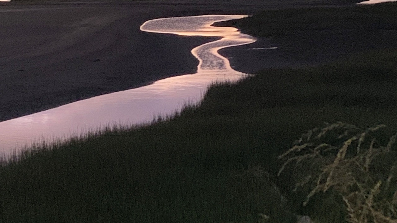 Photo of Others in Foxton Beach