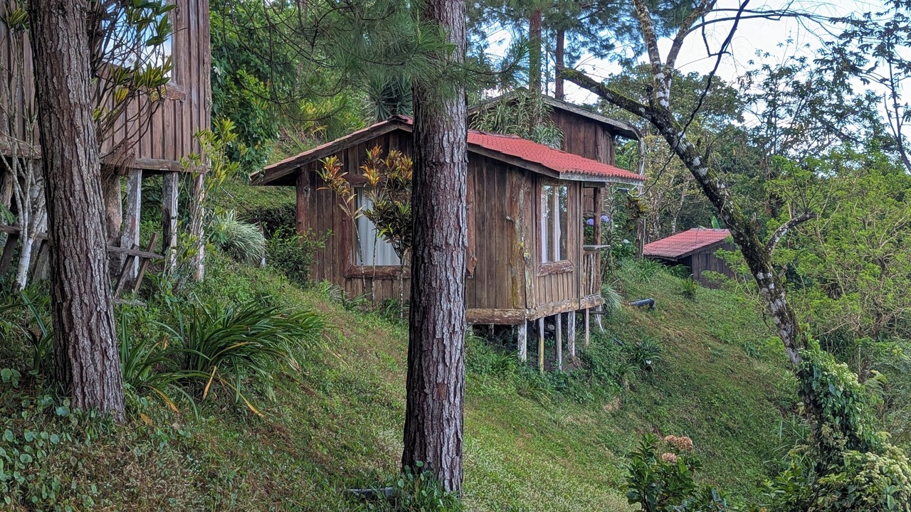 Photo of Outdoor in Sierra