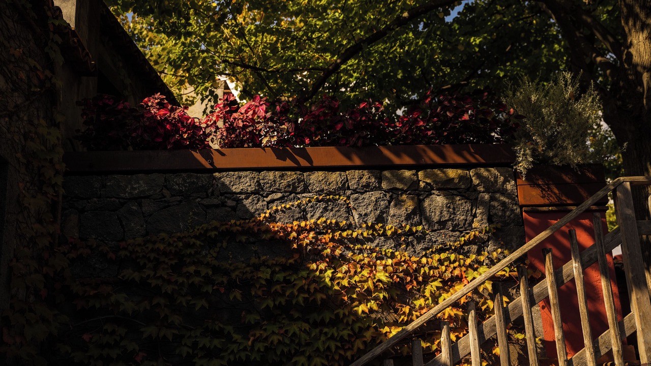 Photo of Outdoor in Coste