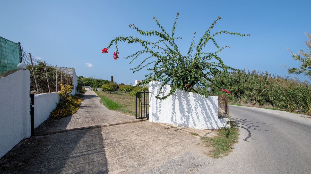 Photo of Outdoor in Rapaniana