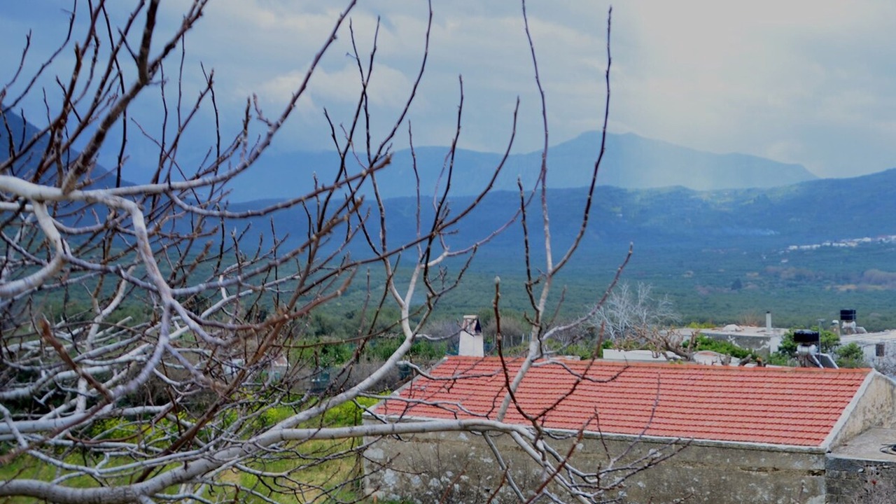 Photo of Others in Nipidhitos