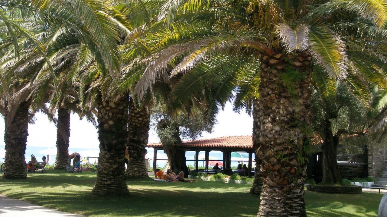 Photo of Outdoor in Sithonia
