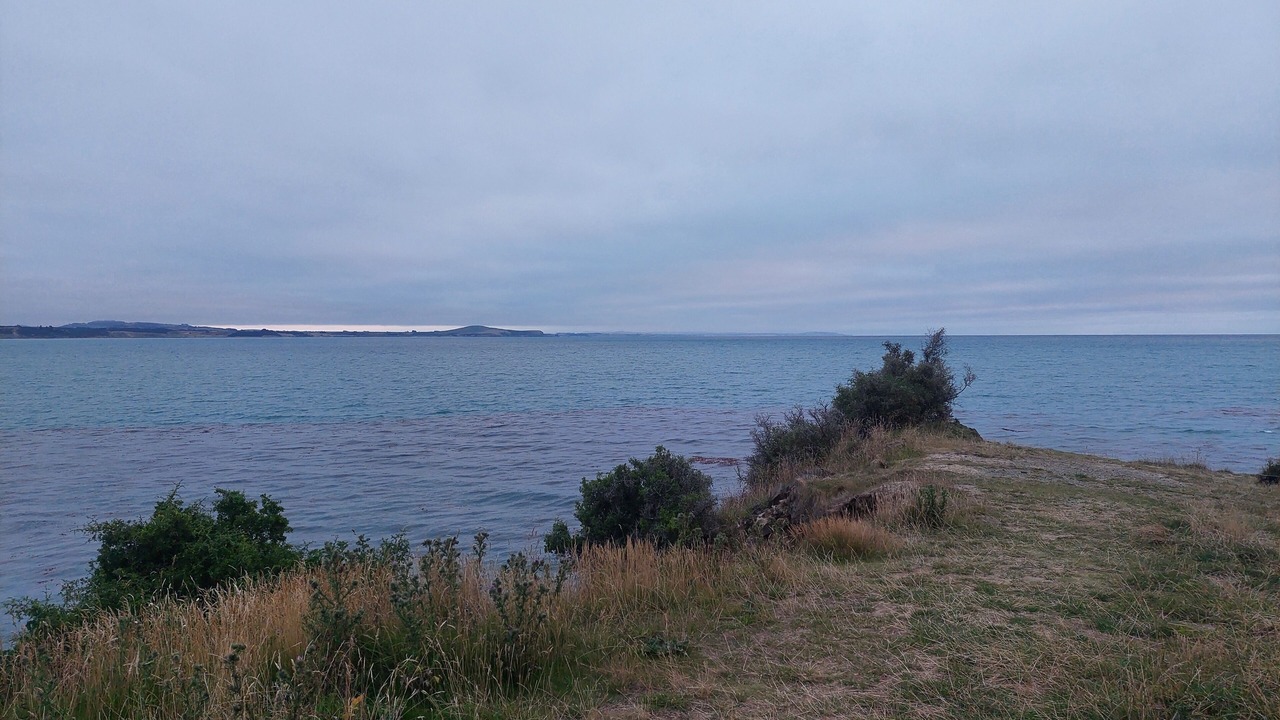 Photo of Others in Moeraki