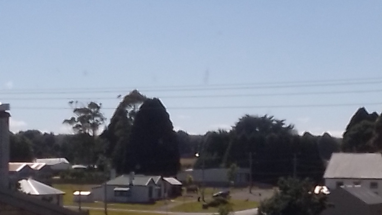 Photo of Others in Waratah