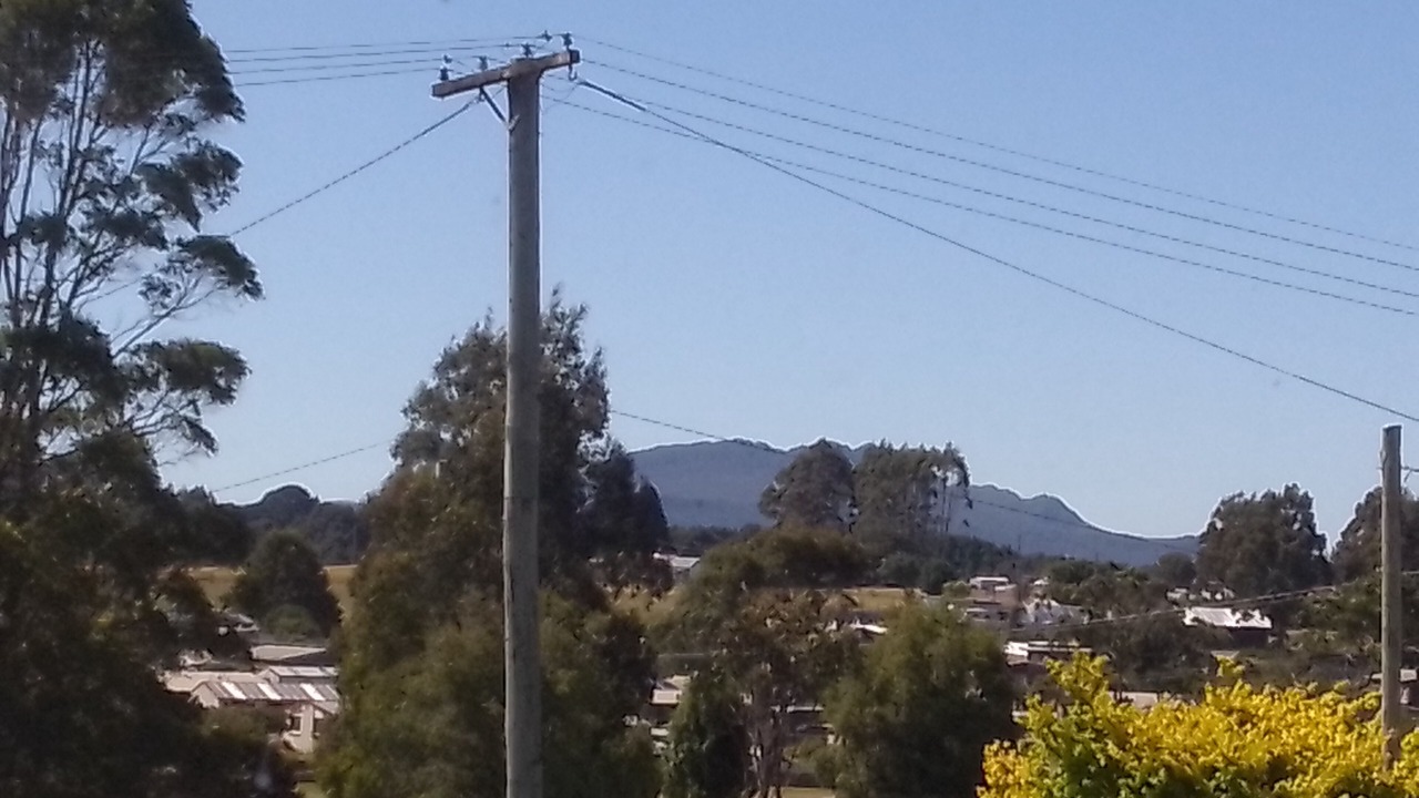Photo of Others in Waratah