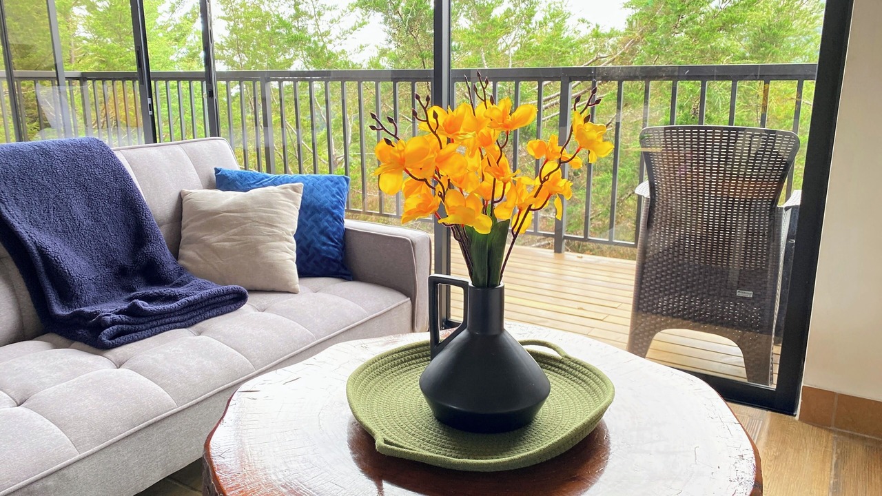 Photo of Livingroom in San Isidro