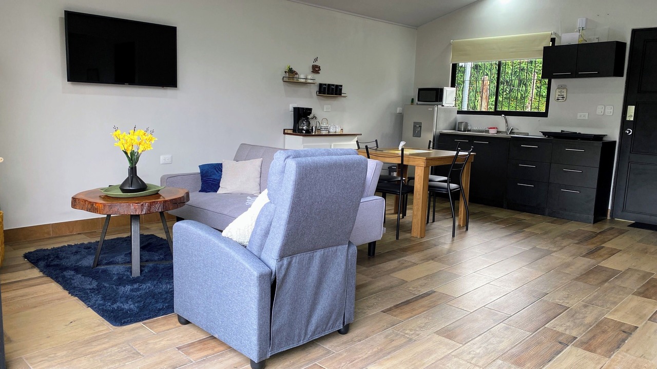 Photo of Livingroom in San Isidro