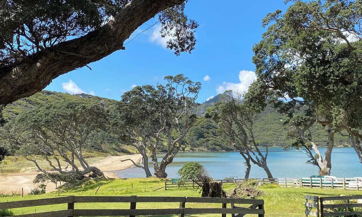 Photo of Others in Great Barrier Island