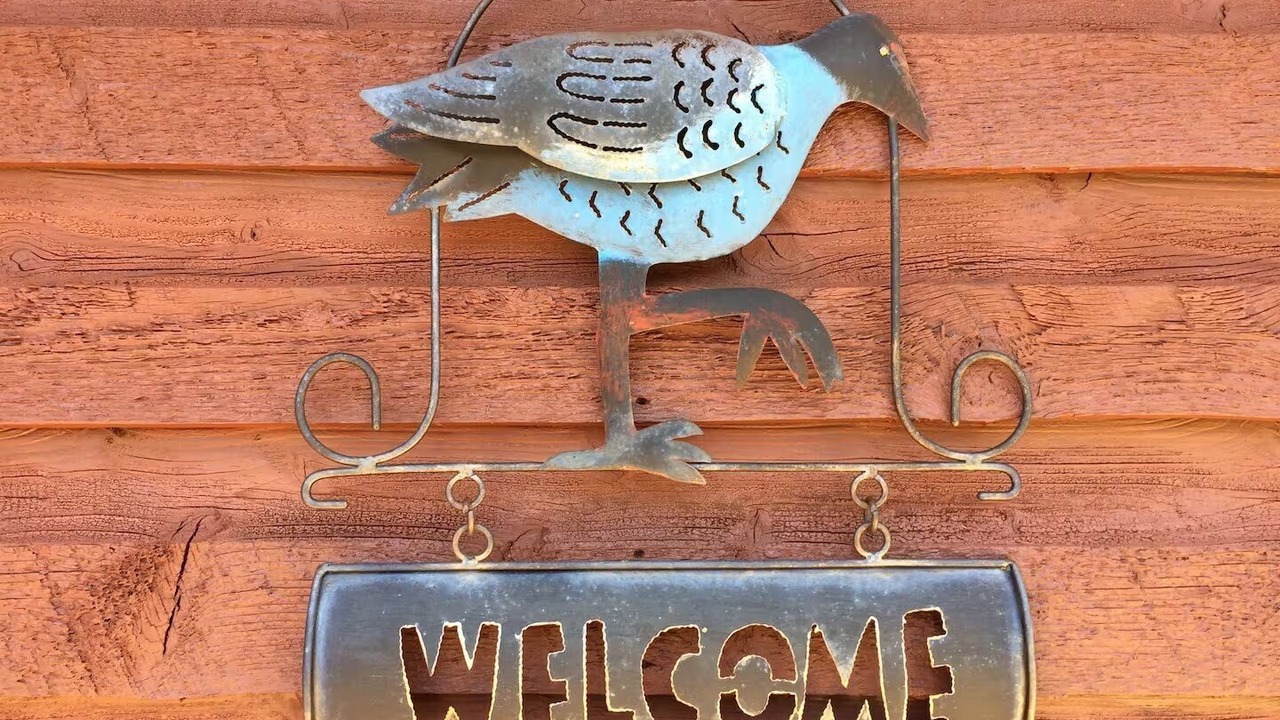Photo of Others in Te Anau