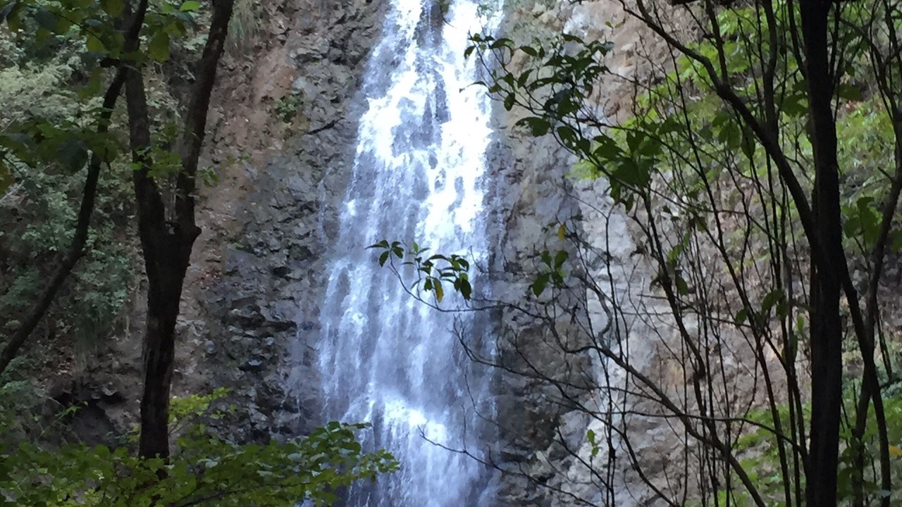 Photo of Others in Montezuma