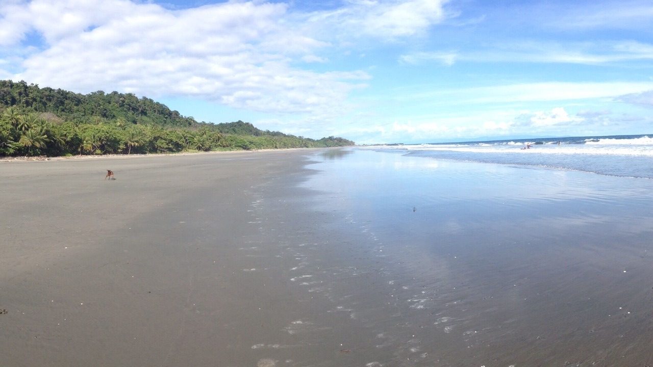 Photo of Others in Montezuma