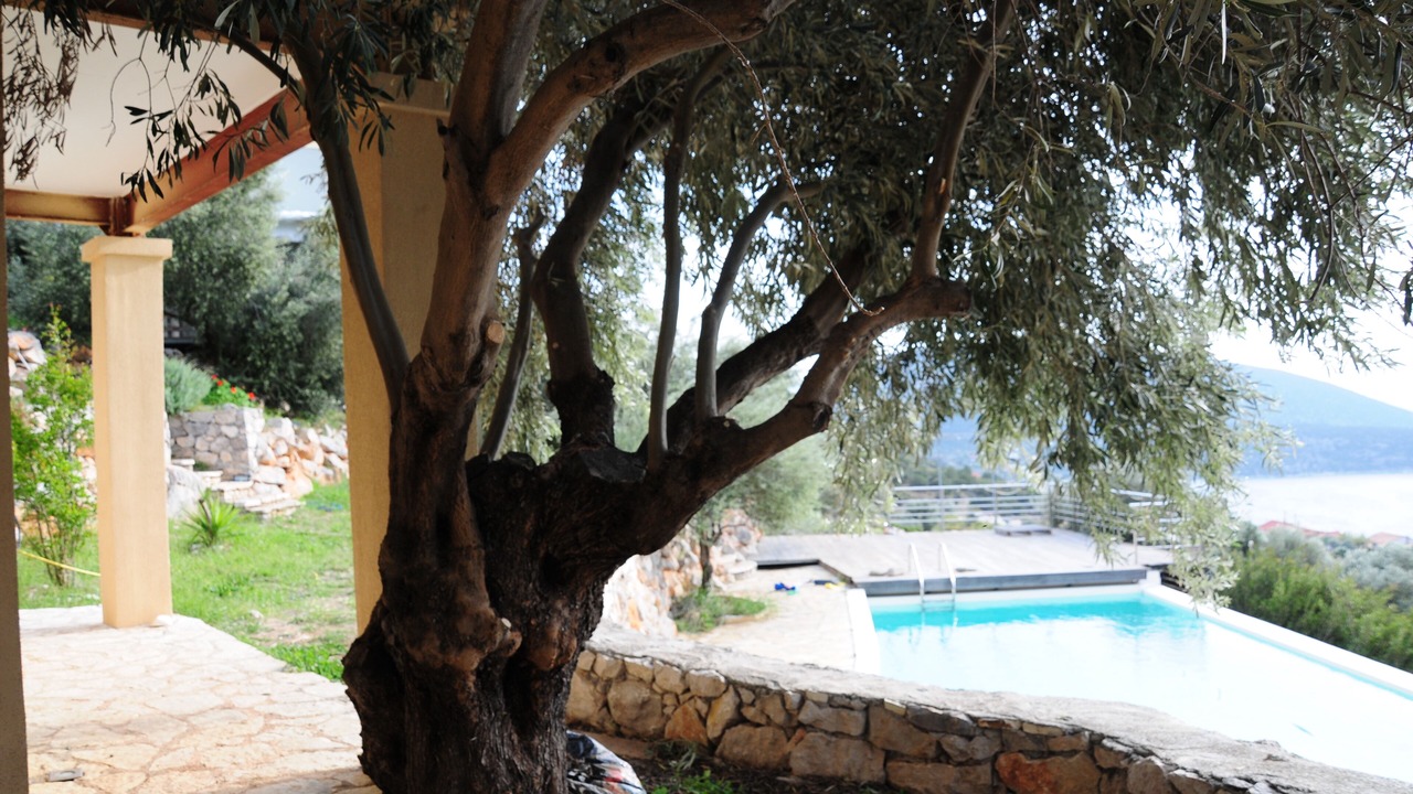 Photo of Outdoor in Alyki