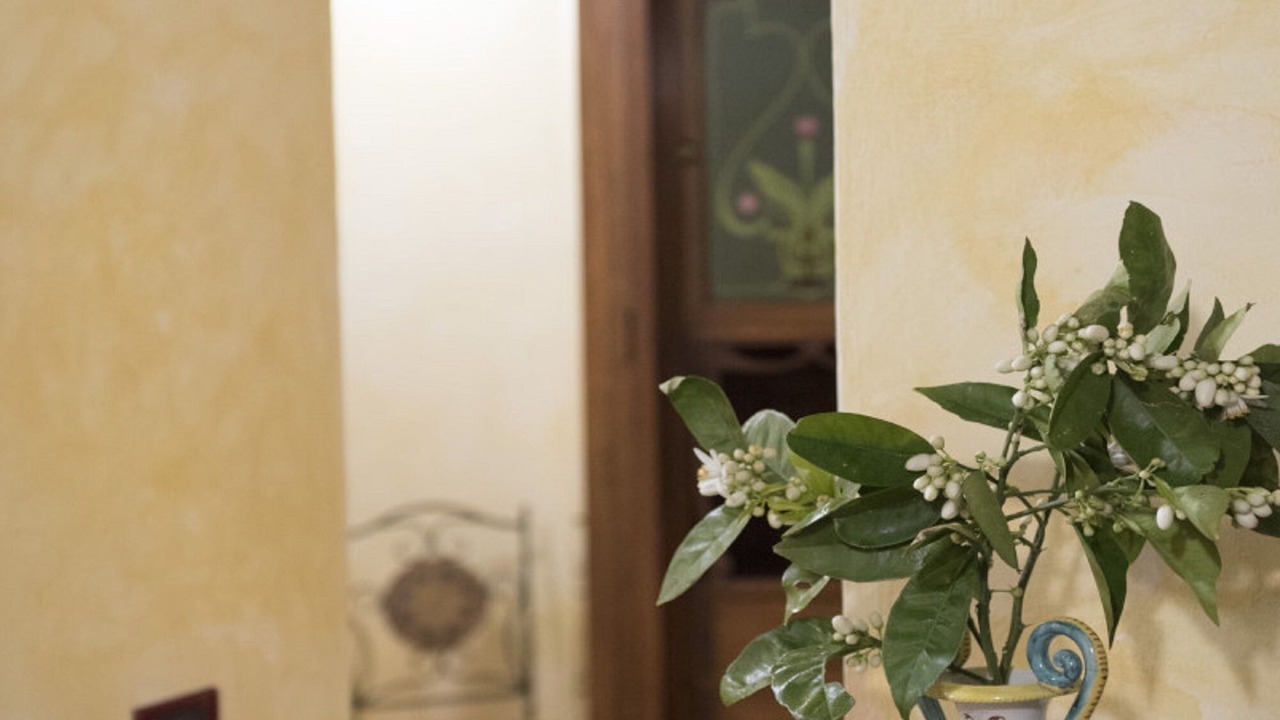 Photo of Others in Erice