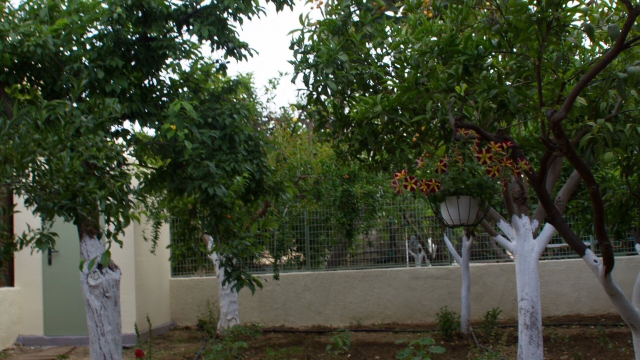 Photo of Outdoor in Agia Pelagia