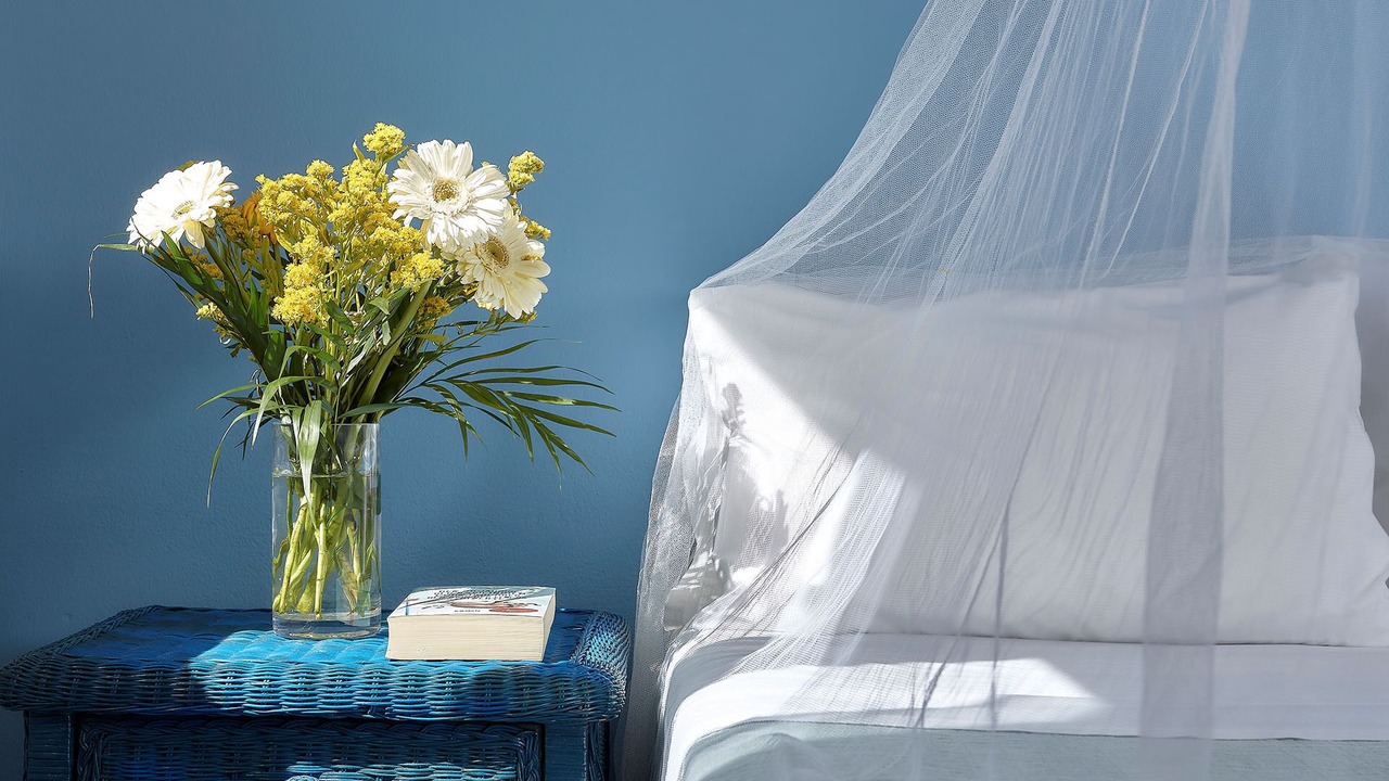 Photo of Bedroom in Gournai