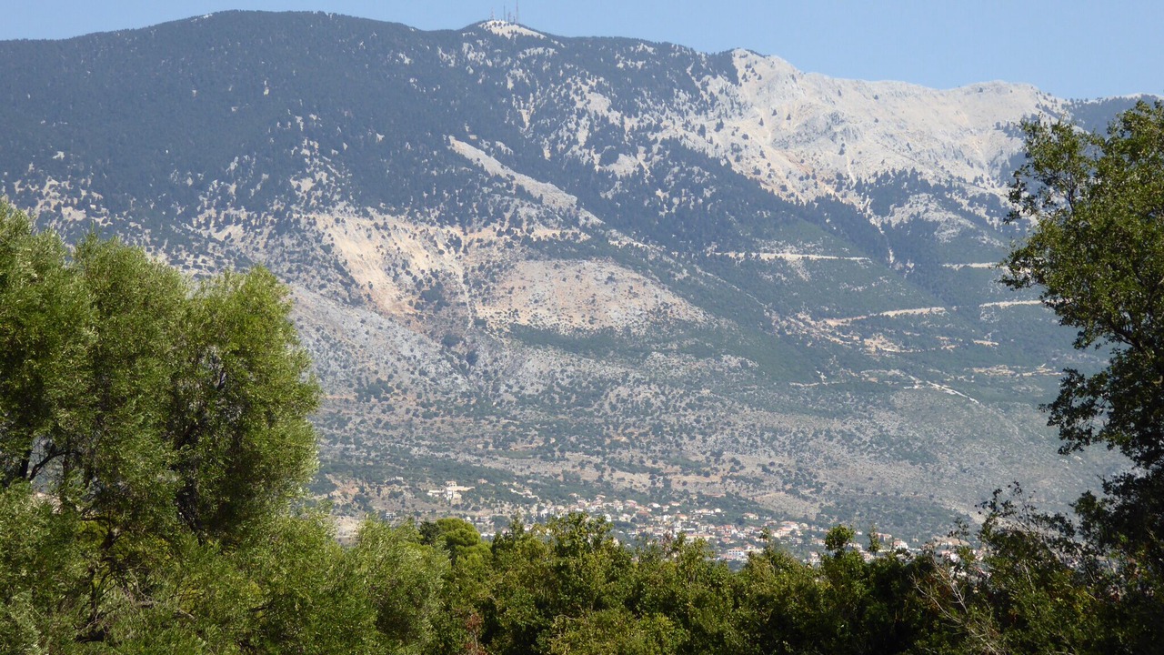 Photo of Others in Pesada