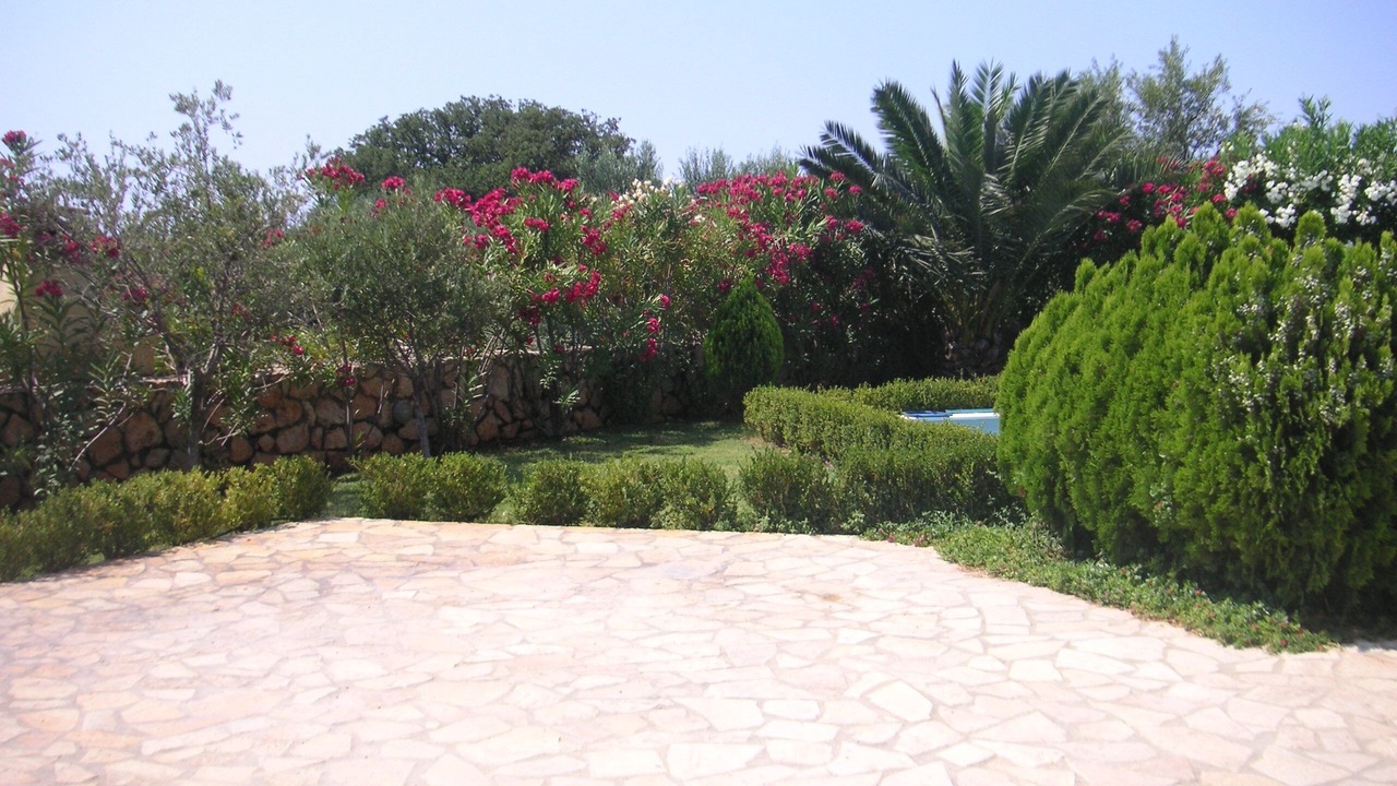 Photo of Others in Pesada